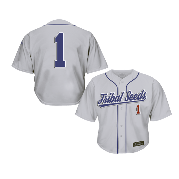 Women’s Crop Baseball Jersey (Blue/Gray)