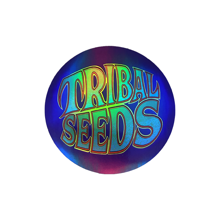 Holographic Logo Sticker