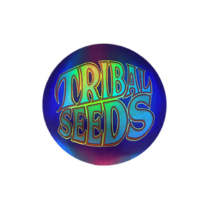Holographic Logo Sticker