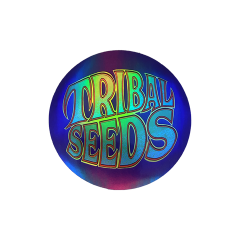 Holographic Logo Sticker