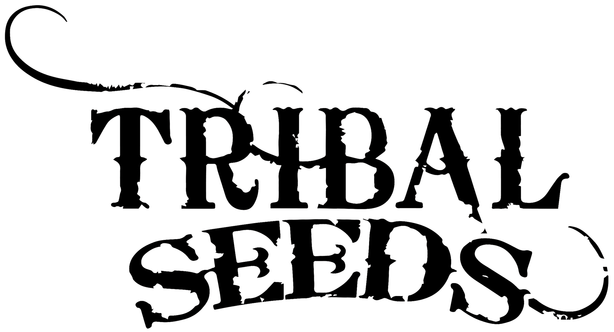 Men s Soccer Jersey Tribal Seeds Store men-s-soccer-jersey-tribal-seeds-store