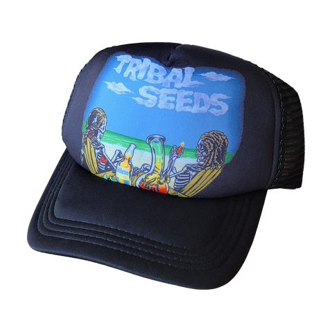 Pinstripe Crop Baseball Jersey – Tribal Seeds Store