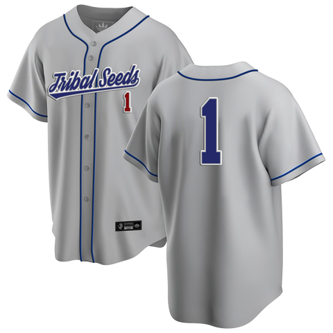 Blue/Gray Unisex Baseball Jersey